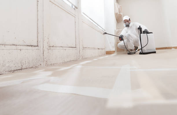 24/7 Emergency Basement Mold Remediation experts in Manasquan, NJ